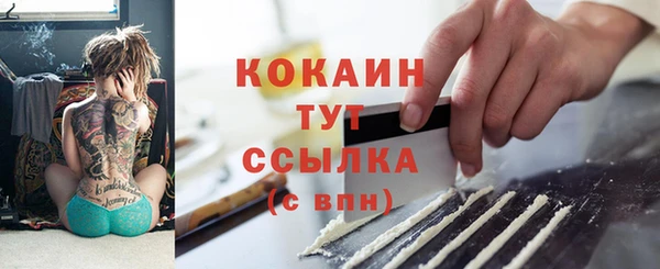 амф Гусь-Хрустальный