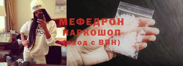 амф Гусь-Хрустальный