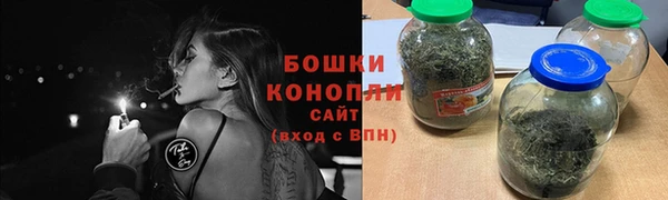 амф Гусь-Хрустальный