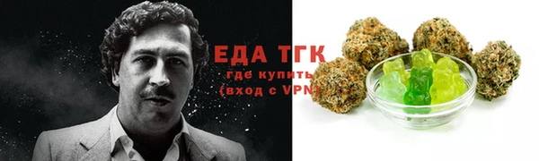 амф Гусь-Хрустальный