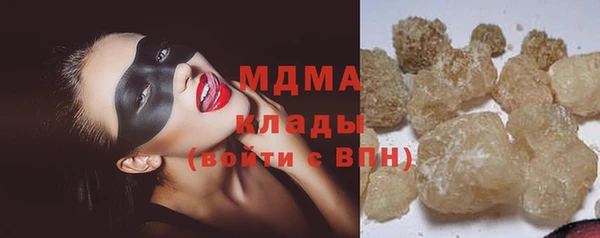 амф Гусь-Хрустальный