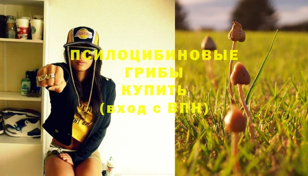 соль курить ск Гусев
