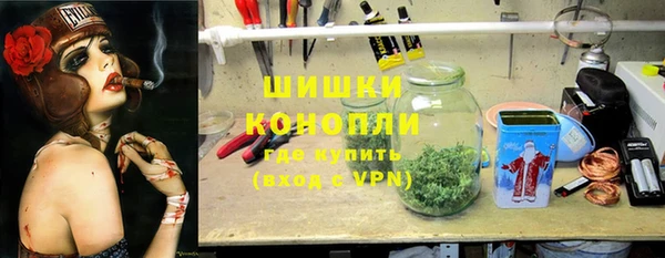 амф Гусь-Хрустальный