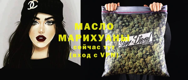 амф Гусь-Хрустальный