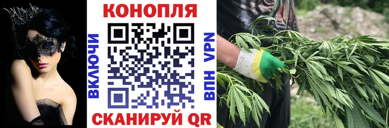 купить наркотики цена  Староминская  Канабис VHQ 